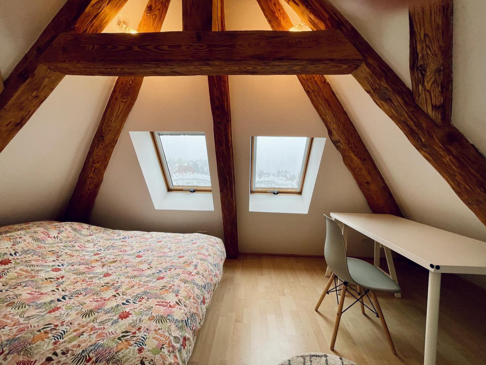 Apartmán Duplex + Parking Gratuit Facile Sainte-Suzanne  Exteriér fotografie