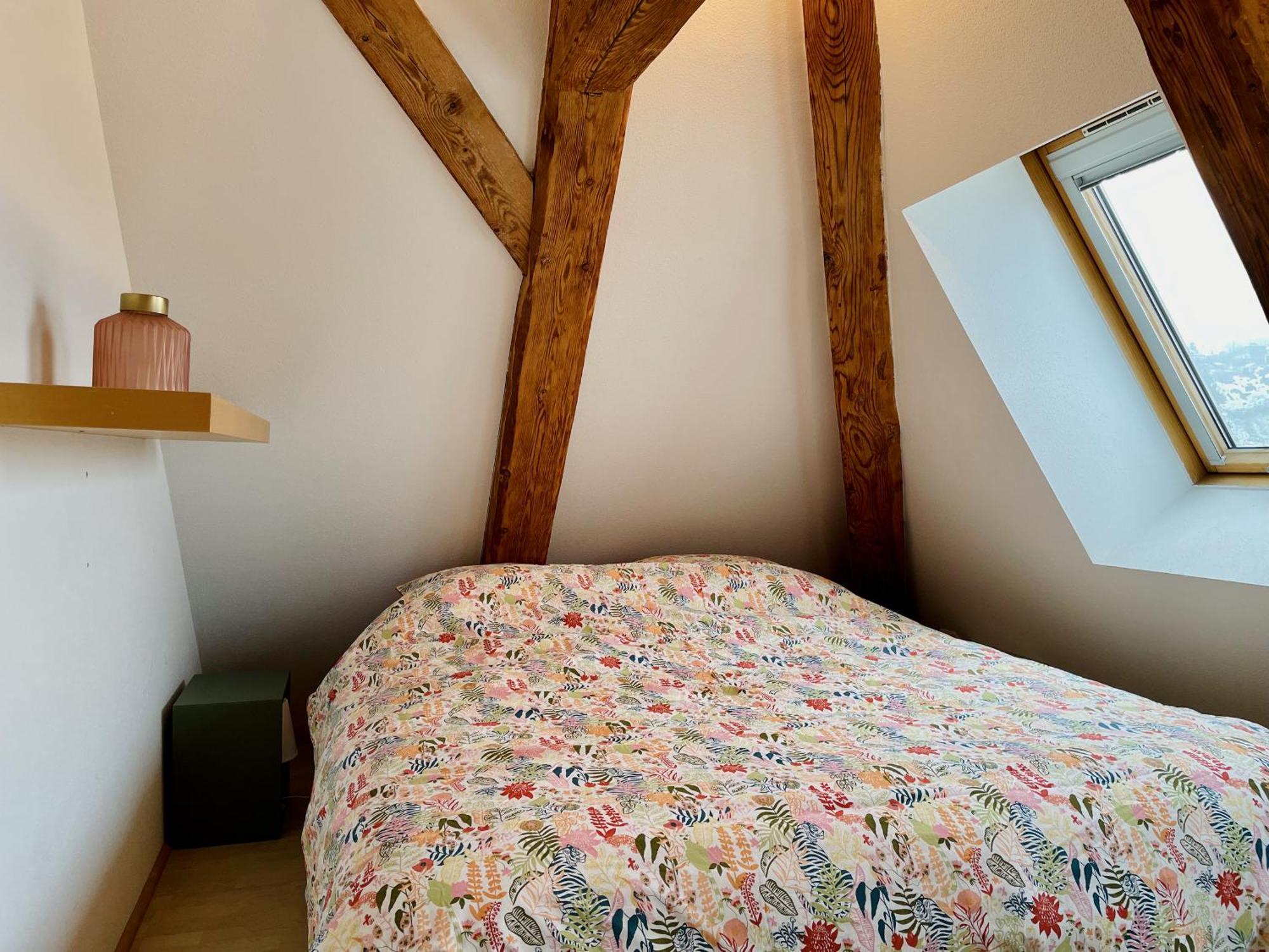 Apartmán Duplex + Parking Gratuit Facile Sainte-Suzanne  Exteriér fotografie